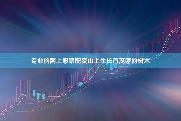 专业的网上股票配资山上生长首茂密的树木